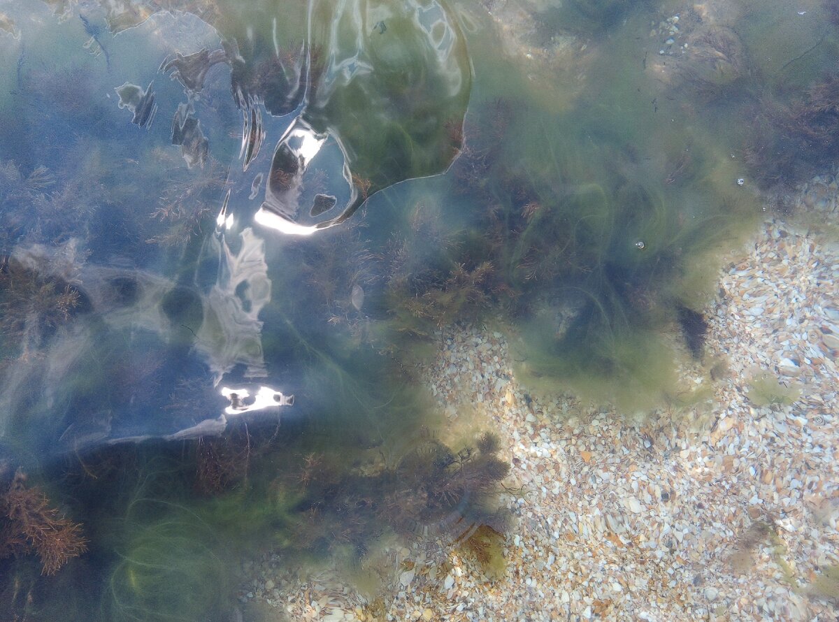 черное море