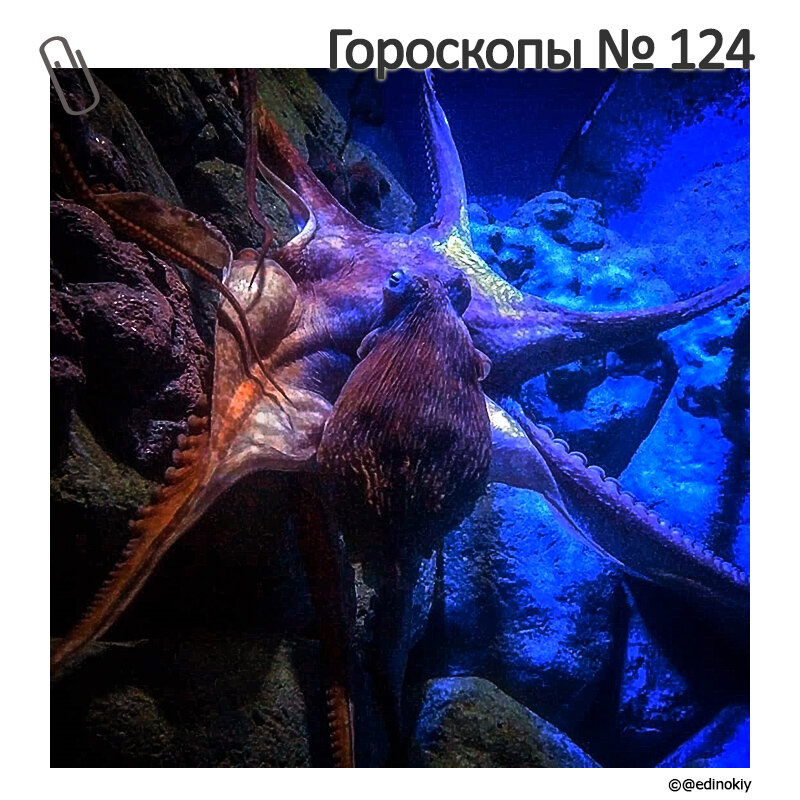  
Знаки Зодиака поставлены в определенном порядке: от самого «счастливого» до самого «невезучего».