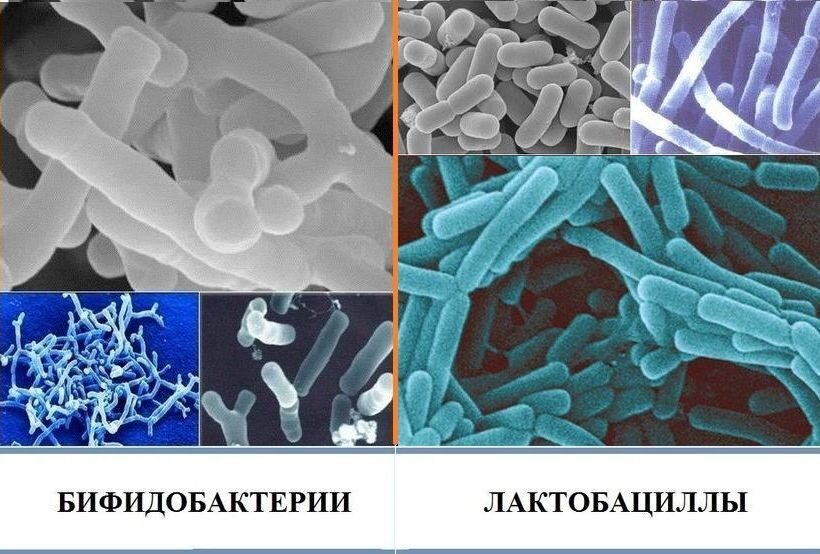 Фото: Яндекс картинки