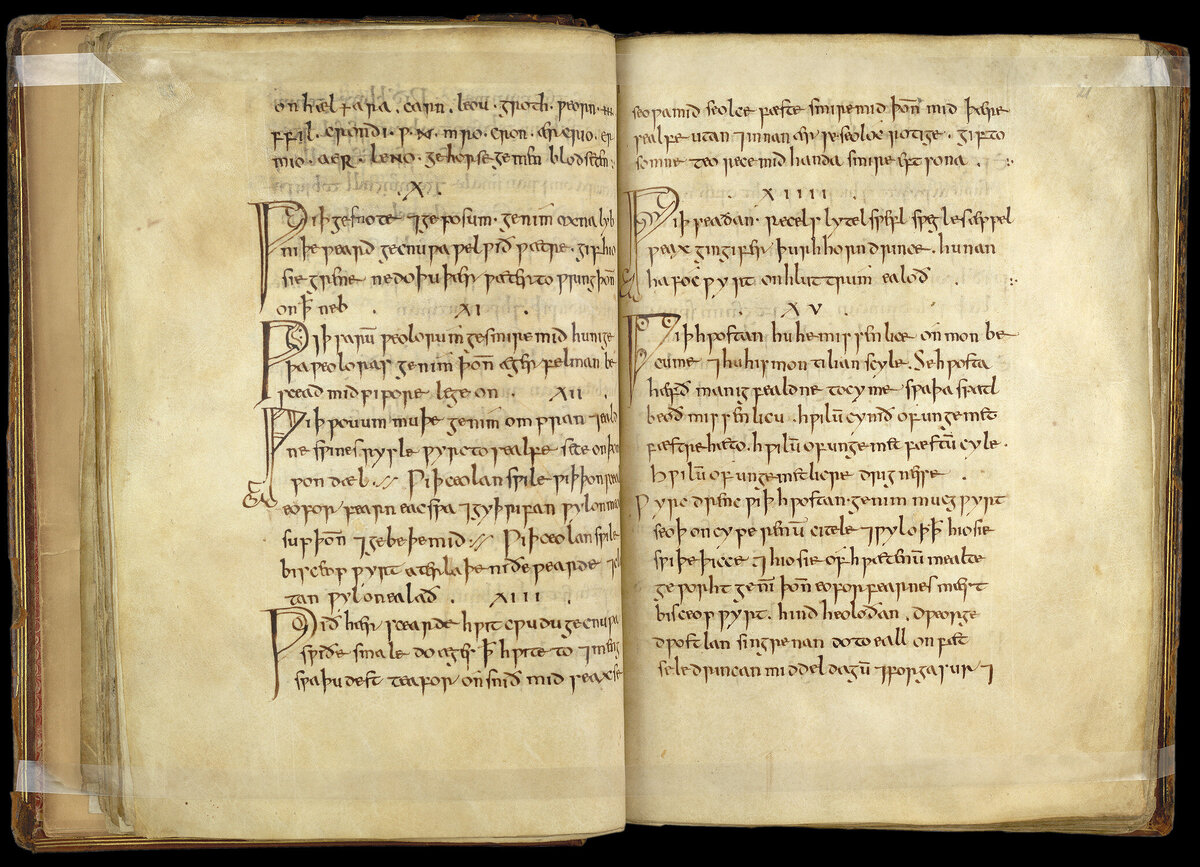 Та самая книга с медицинскими рецептами Bald’s Leechbook. Credit: The British Library Board (Royal 12 D xvii).
