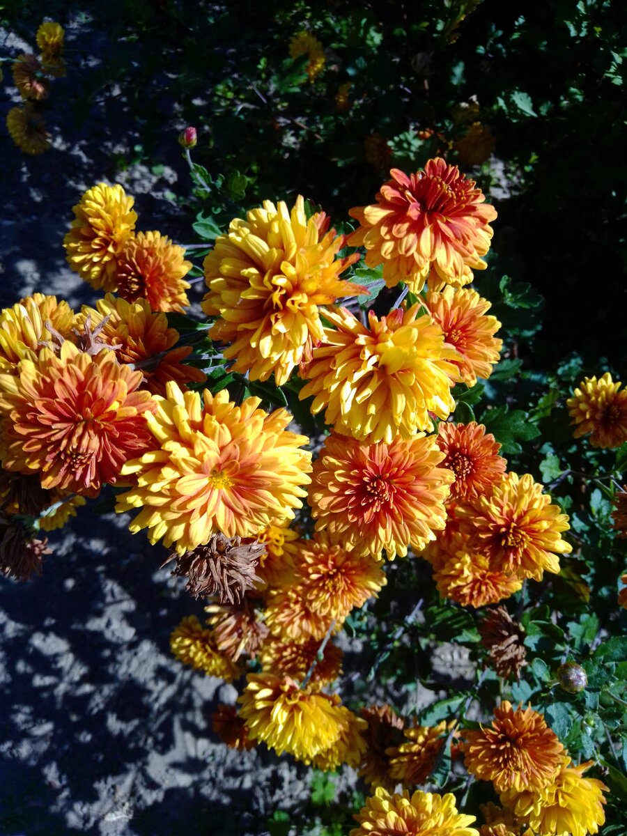 Фото автора, 2019 г.