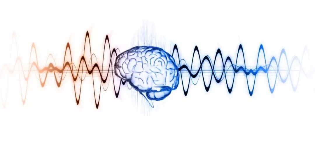Волны мозга. Альфа тета Дельта волны мозга. Волны мозга Альфа бета тета. Альфа ритм и тета ритм мозга. Альфа бета гамма волны головного мозга.