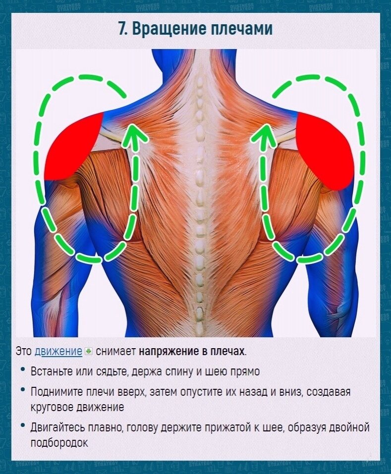 из интернета