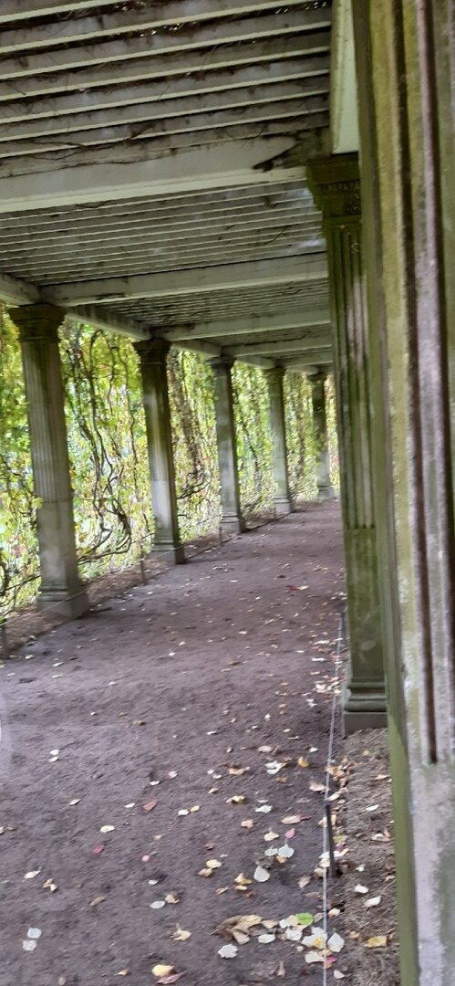 были мы в Царском селе поздней осенью...