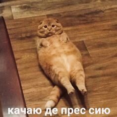 Пикча