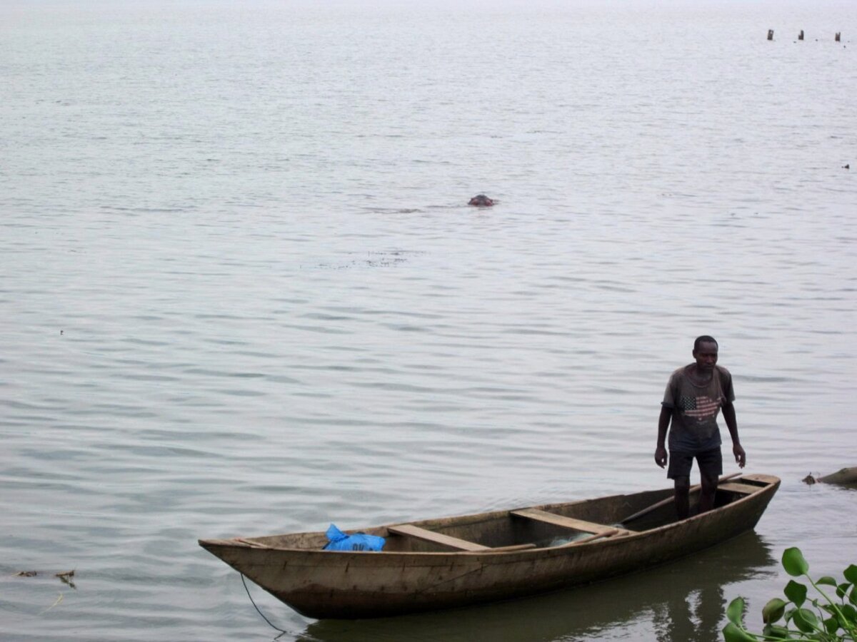 Ловля гиппопотамов на живца. 