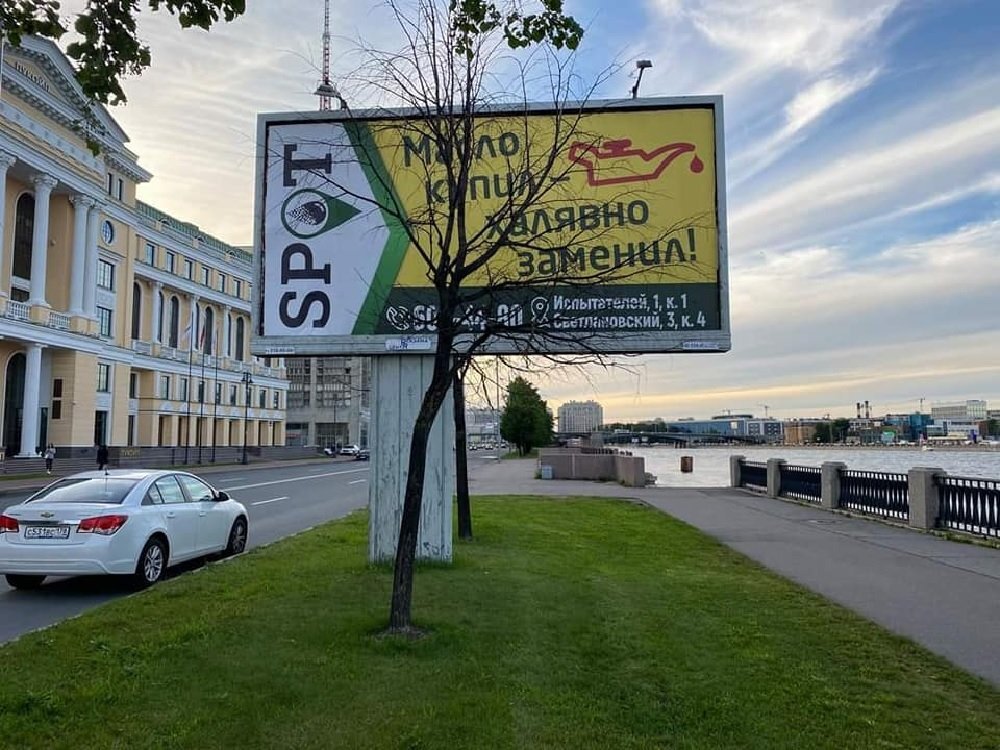 Убитые деревья на Аптекарской набережной. Фото из ВК-группы "Деревья Петербурга"