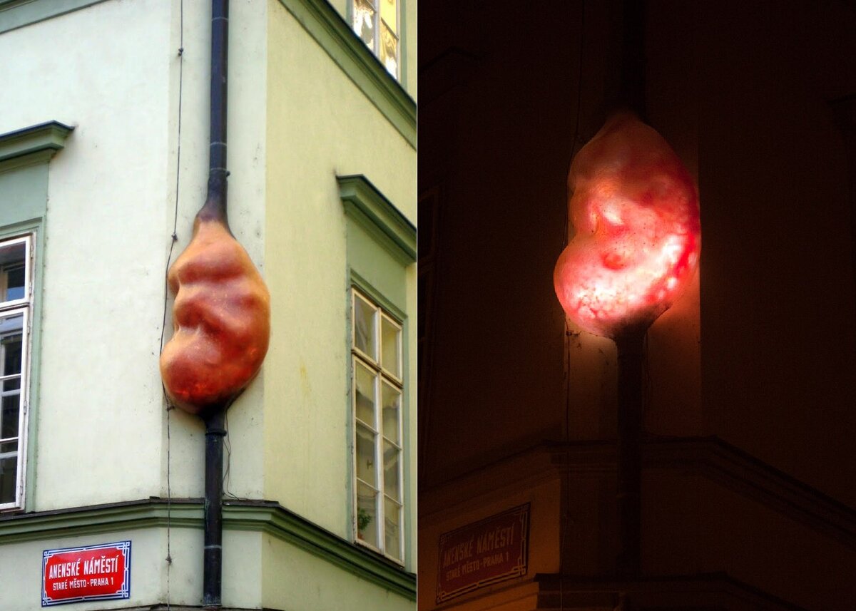 «Эмбрион»