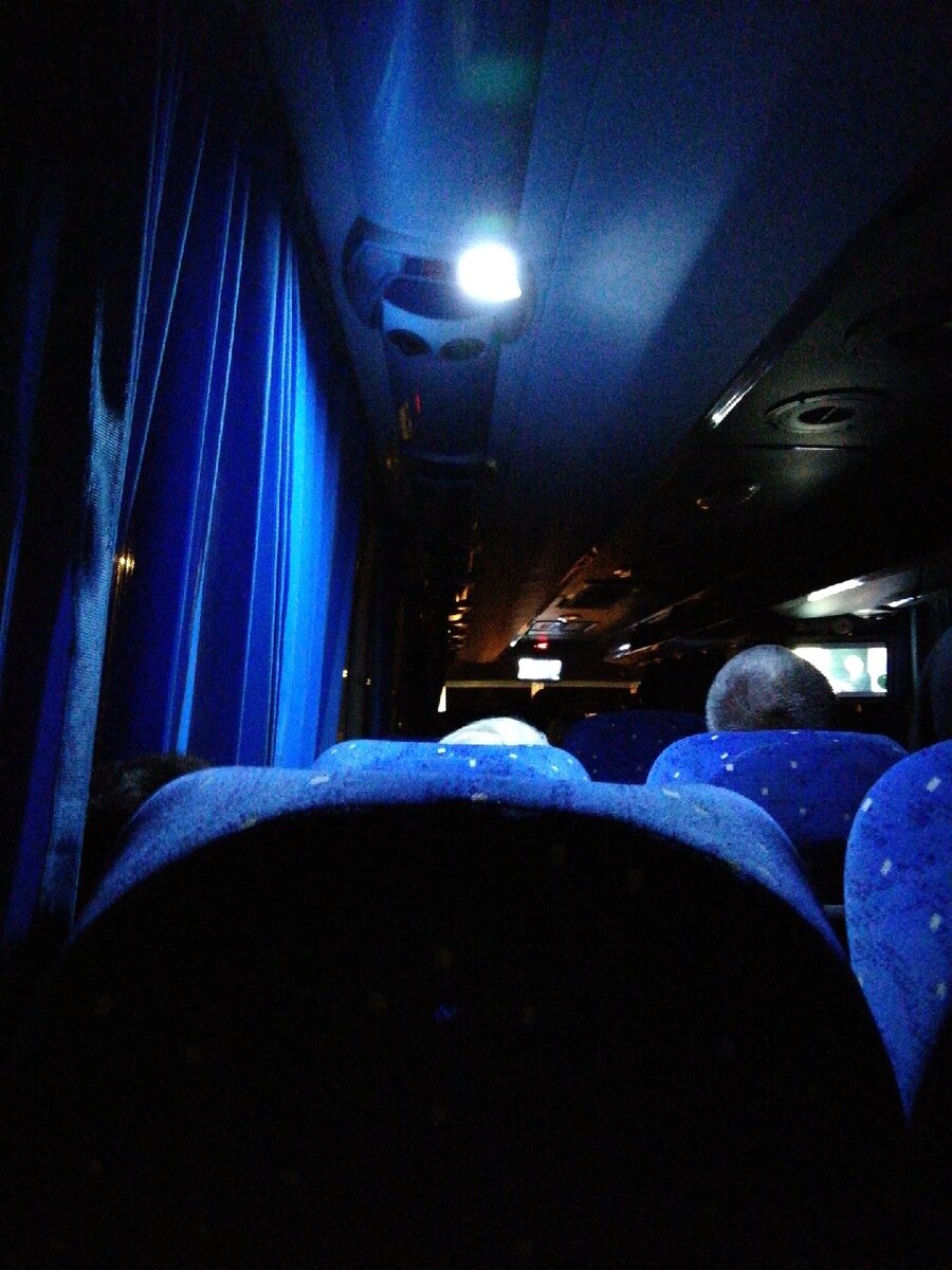 Автобус Москва - Санкт-Петербург