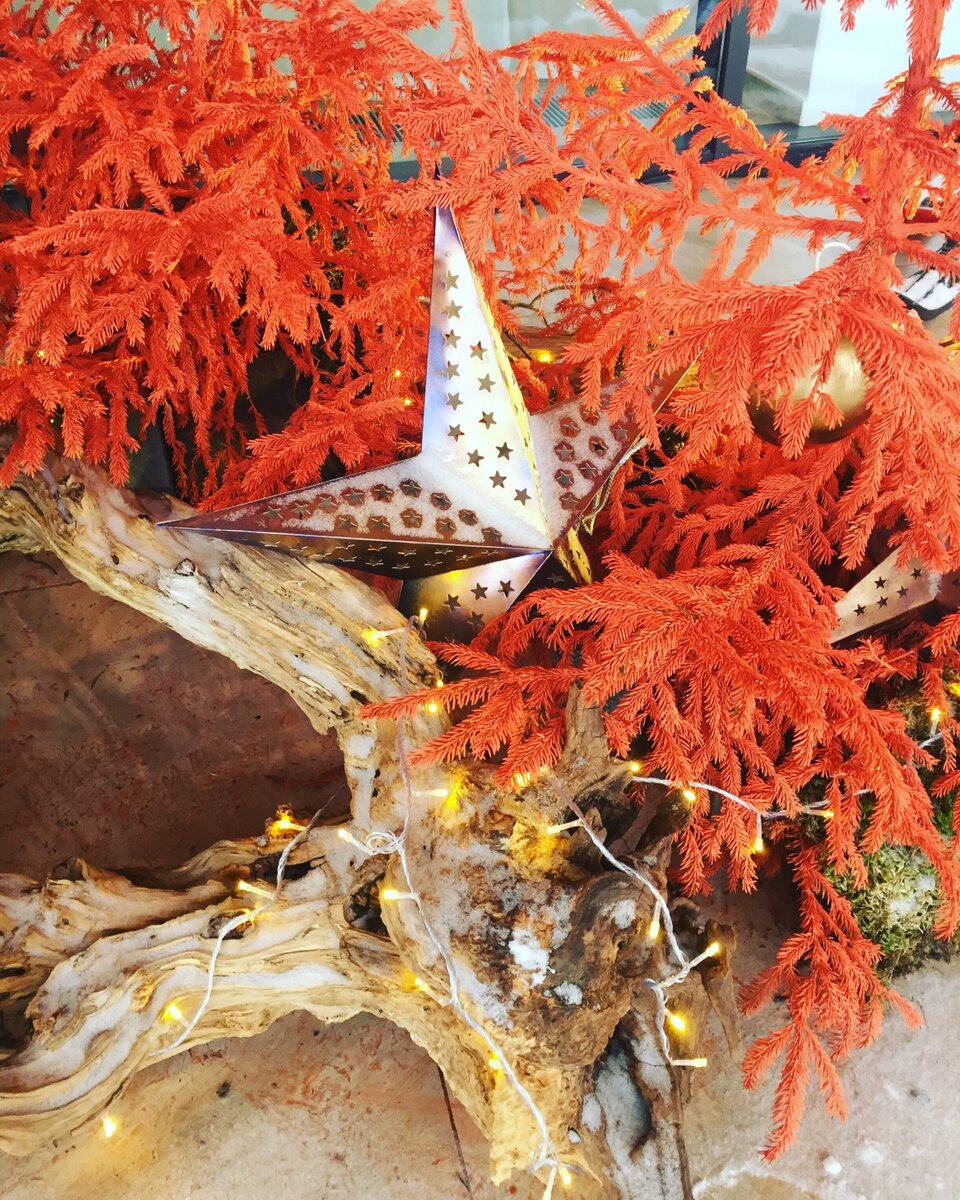 Фото сделано автором и принадлежит автору 