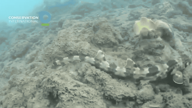 Источник: yandex.ru