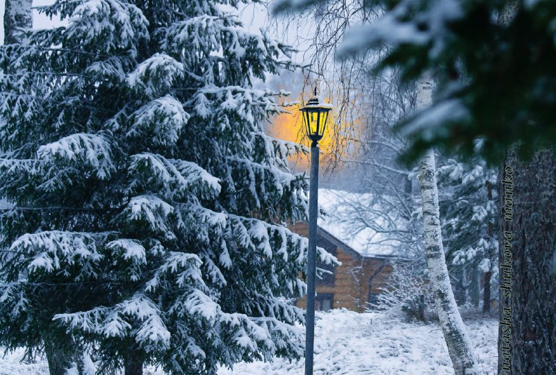 Попытка заработать на сценарии не удалась