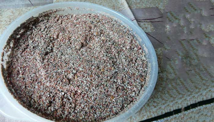 Зимняя прикормка