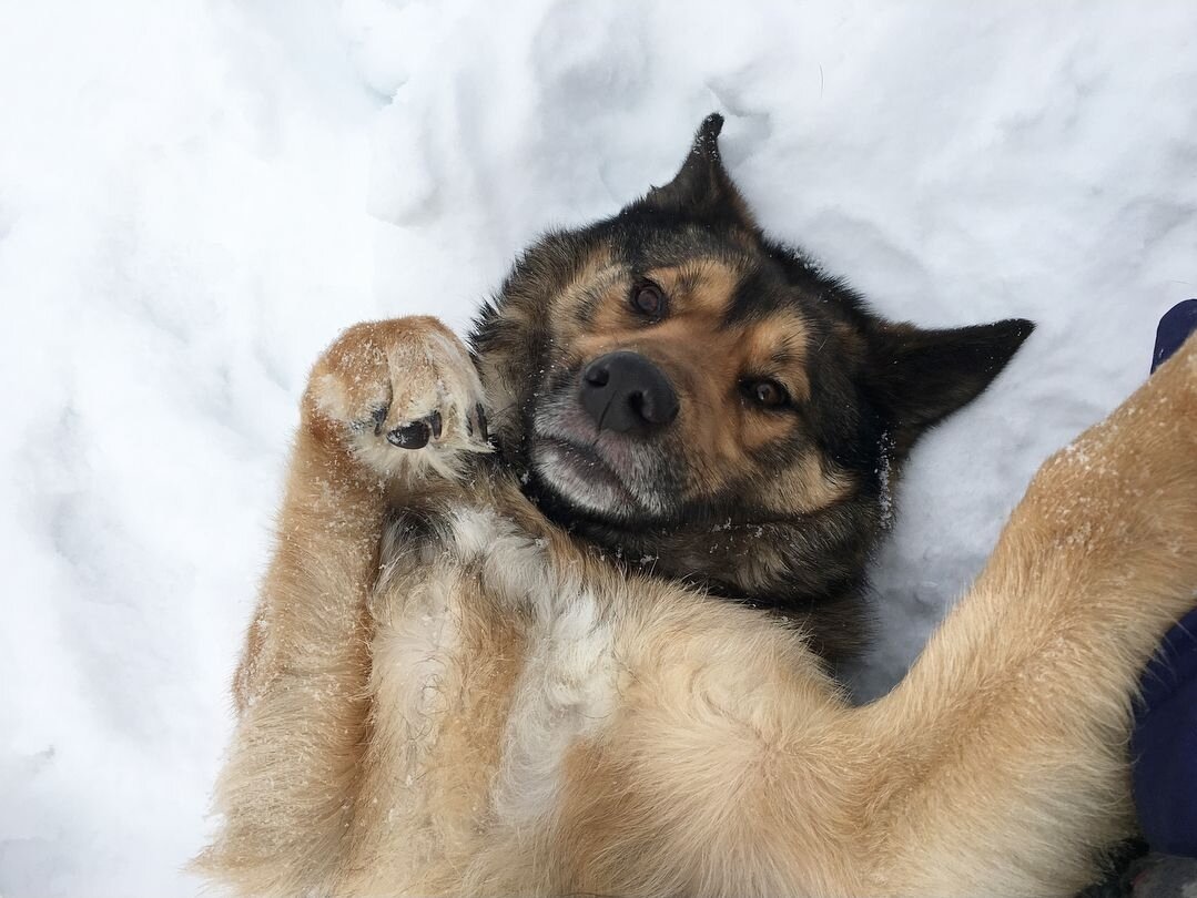-2