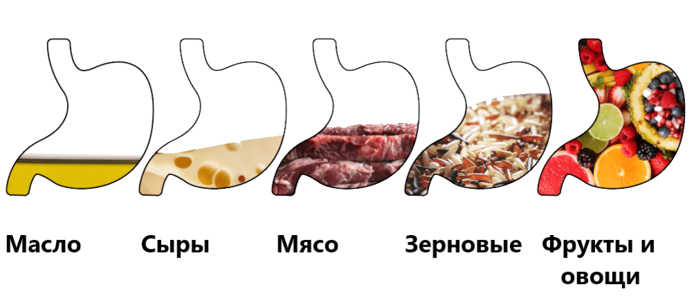 источник: builtwithscience.com