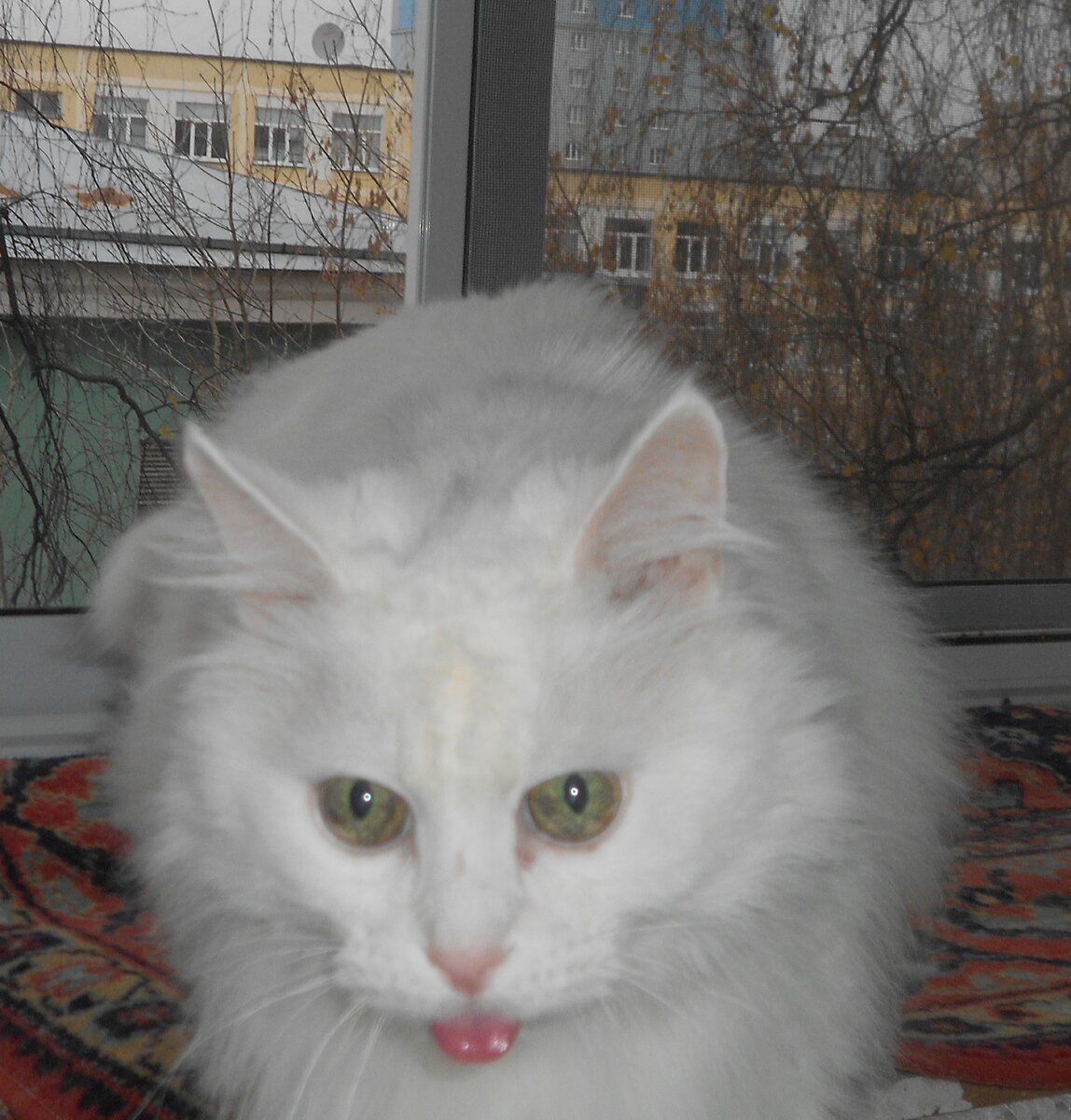 Благодарю Галину МАЛЫГИНУ за фото Пушика)