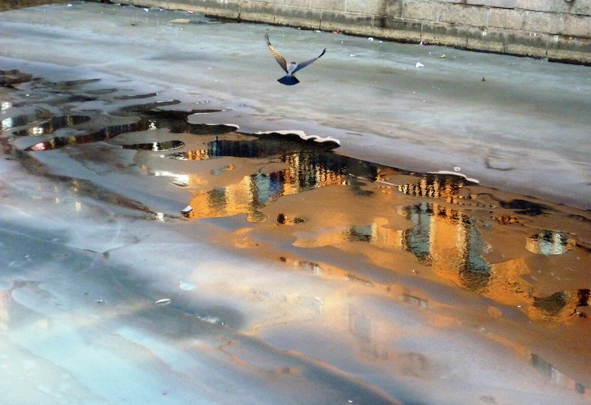 Впервые буду праздновать день рождения вдали от канала Грибоедова и Фонтанки. Фото автора