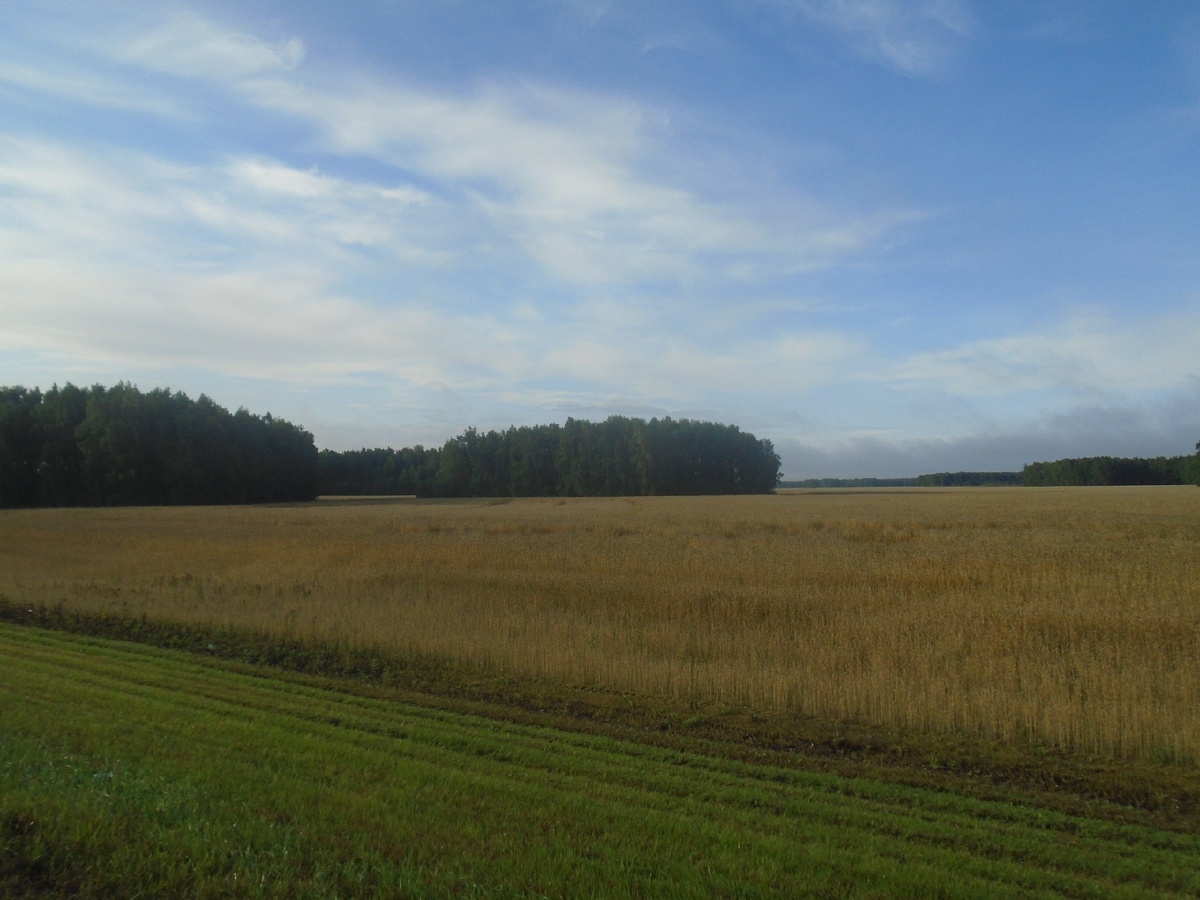 Дорога до Новосиба.