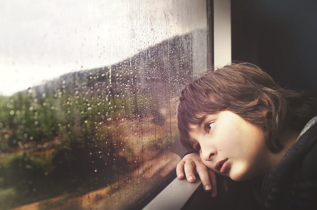 взято из открытых источников