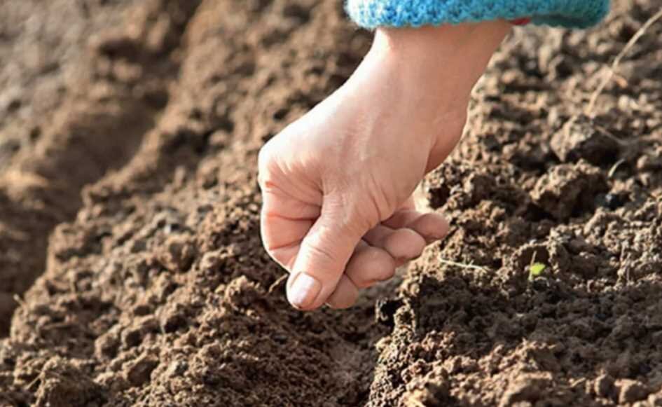 Риски связанные с погодными условиями