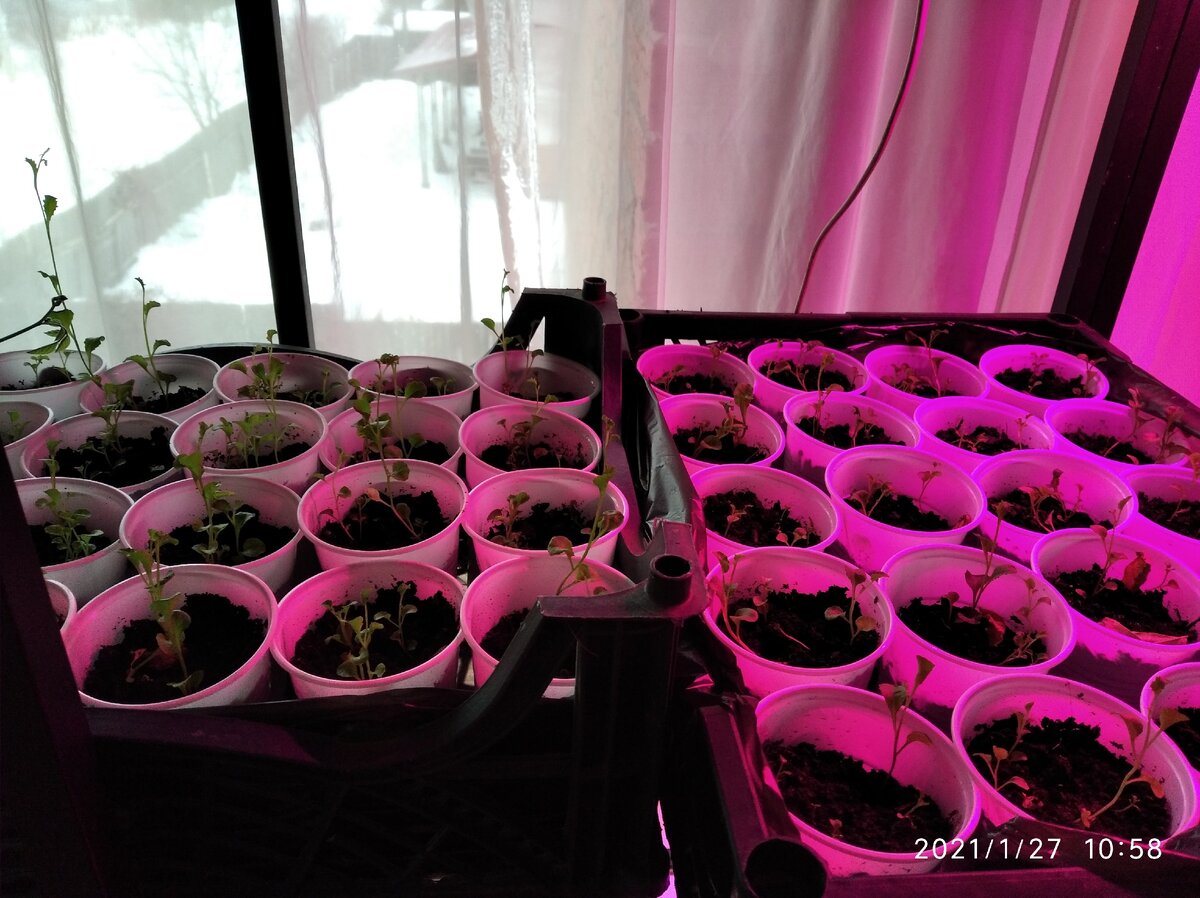 Фото Загородные идеи.