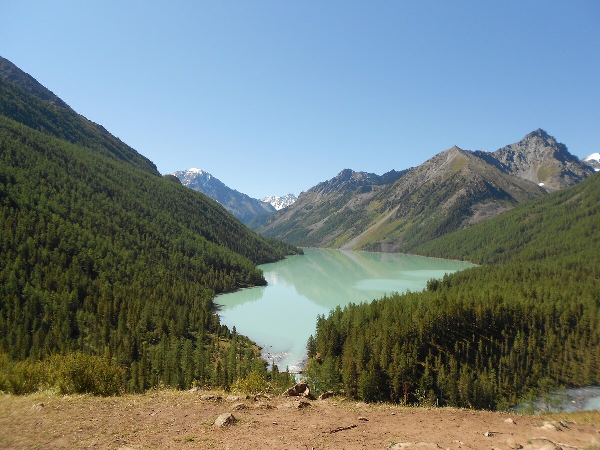      Кучерлинские озера. Слева Катунский хребет.