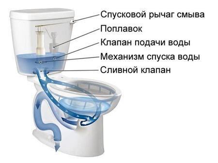 Как почистить бачок унитаза от ржавчины | Мастер ... | Дзен