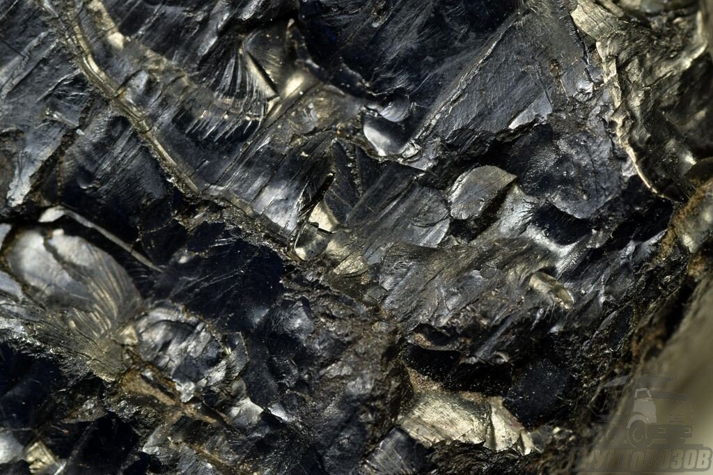 В этой статье мы подробно расскажем, из каких компонентов состоит каменный уголь