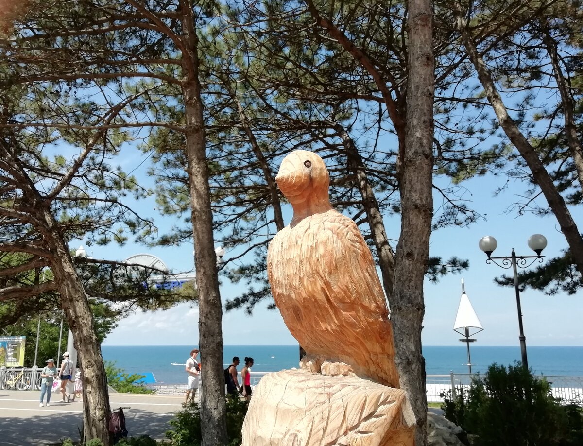 Как можно не влюбиться в этот прекрасный город? г.Анапа