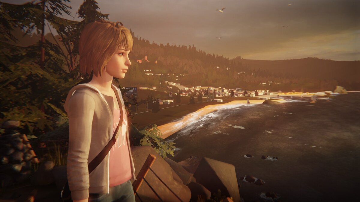 Макс смотрит вдаль, думаю о бесконечном просторе океана 