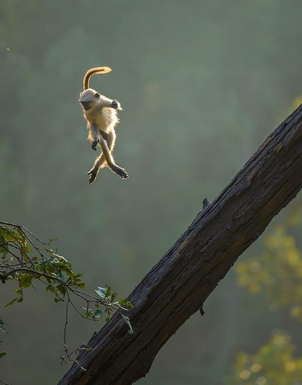 Источник фото @andyparkinsonphoto