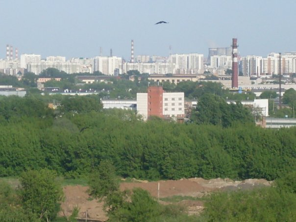 День в самом разгаре. Москва.