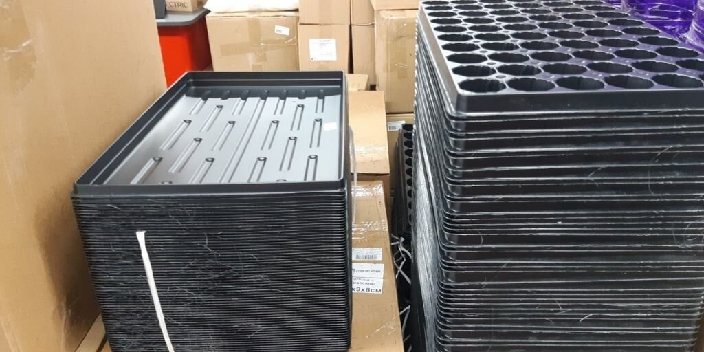 фото автора из магазина Светофор