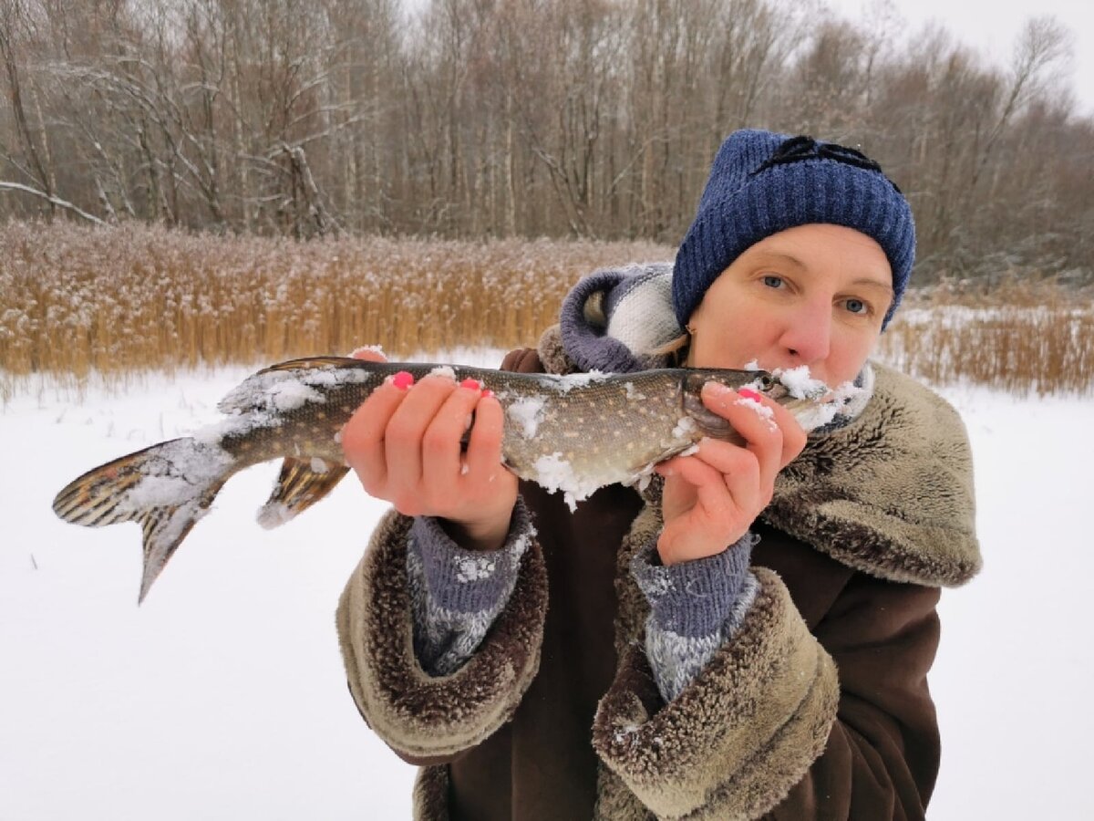 🎄2021 год начался очень удачно🥂 
👉Утро 1 января начинается с торопливых сборов! В рюкзак складываю только всё самое необходимое, ну или почти необходимое😅. Мандаринки, шоколад, бутылочка Абрау-Дюрсо... Фонарь, перчатки🤔, Думаю ни чего не забыла! Остальные снасти - жерлицы, бур, удилки, балансир, живец и мотыль уже загружены в машину! 🚙

Раннее утро 1 января - дороги пустые, быстро добираемся на берег, спускаемся на лёд и исследуем акваторию. Для меня абсолютно новое место. Выбор падает на затоны и заросли камыша🌾. По "заметкам бывалых рыбаков" - клёва сегодня ожидать не стоит: резкий скачок давления, новолуние, ветер не тот, который нужен (а кто знает, какой он нужен? 🤔😅), Вообщем всё не в нашу пользу. Ну и ладно! Мы приехали отдохнуть! Встретить Новый Год на берегу. Ну а рыба - это не главное 😉

Расставили жерлицы, и я отправилась искать место для поимки бели (ну или хотя бы живца для жерлиц, 🐟, вдруг на местную рыбку щучка порадует?) Где-то вдали раздался глухой хлопок, ⛳ - в камышах сработка😊. Не спеша шагаю к жерлице - кто-то на том конце лески, пробует карасика, аккуратно разматывая шнур.... Вспоминаю - главное не спешить! Жду, аккуратно отставляю в сторону жерлицу и сквозь пальцы пропускаю леску, приятные рывки рисуют в голове картинки супер монстра🐬, тянущего карасика в глубь камыша.... Камыш! Там же камыш! Резко делаю подсечку.... И да! Рывки усилились! После не продолжительной борьбы первый щукарь в этом году на льду💃💃💃

На удочку тоже удалось поймать несколько плотвичек, рыбки были отпущенны в родную стихию подрастать😊

План выполнен! Утро 1 января на берегу - это заряд позитива и энергии⚡ на весь последующий год!
В этот раз домой забрала 2 щучек на ужин😀 Рыболовный год открыт успешно! Не смотря ни на погоду, ни на давление, ни на новолуние😅😅😅!

P. S. На льду мы были не одни, ещё несколько рыбаков сбежали из-за новогоднего стола🥂🥗🎂, чтобы провести самый первый день 2021 года на берегу!

🎉🎉🎉Праздник удался! 🎄💥

Всех с Наступившим Новым 2021 годом! Здоровья, Счастья и Всех Благ!!!

#река #ночнаярыбалка #отдых #отдыхнаприроде #рыбалка #щука #красота #озеро #жерлицы #новыйгод 
