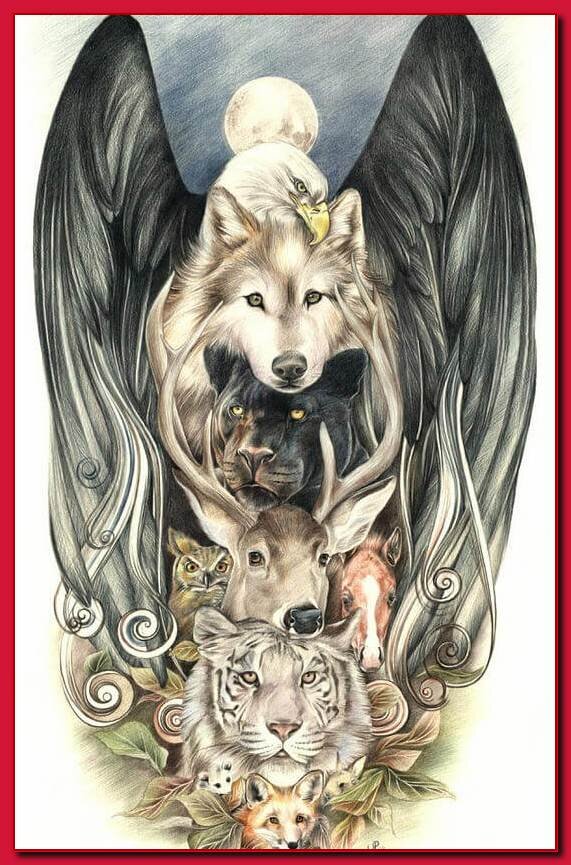 картинка из свободного источника