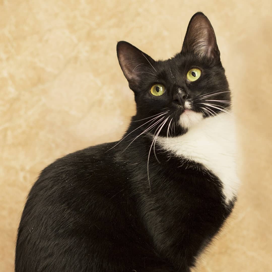 Гипнотические глаза, потрясающей глубины... 