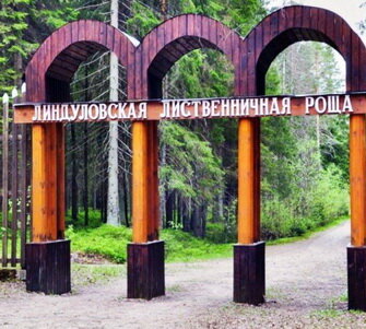 Вход на территорию рощи свободный