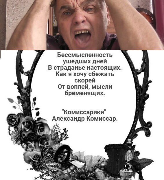 Комиссарики в рамке