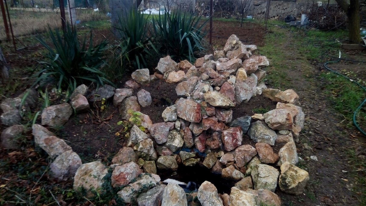 Фото автора