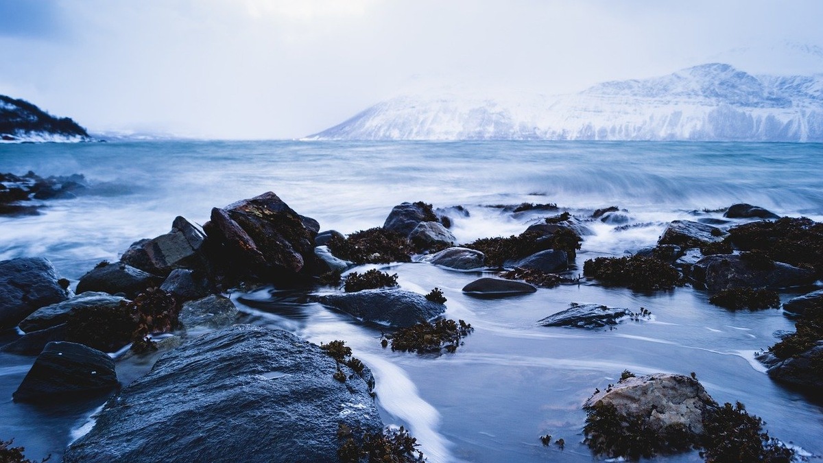 Фото: pixabay
