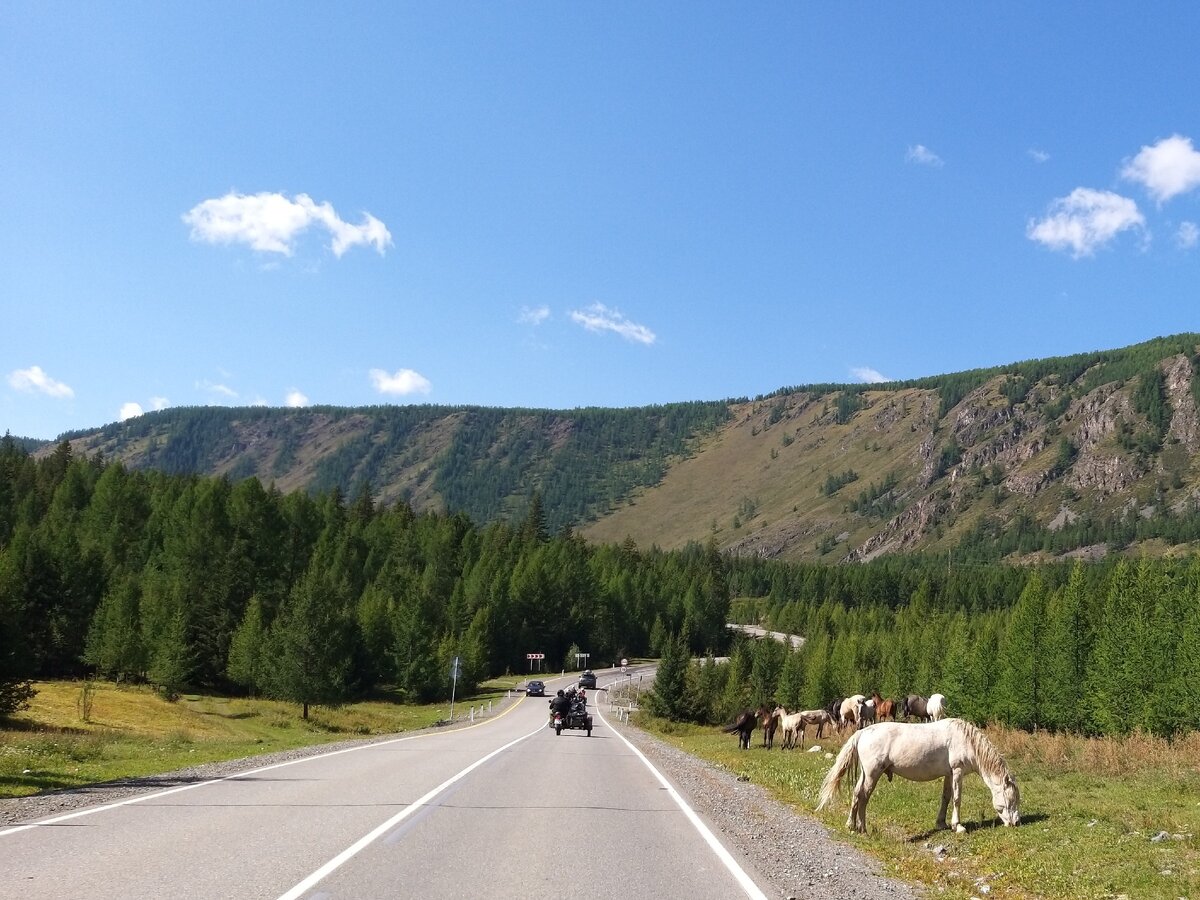 Самая прекрасная работа