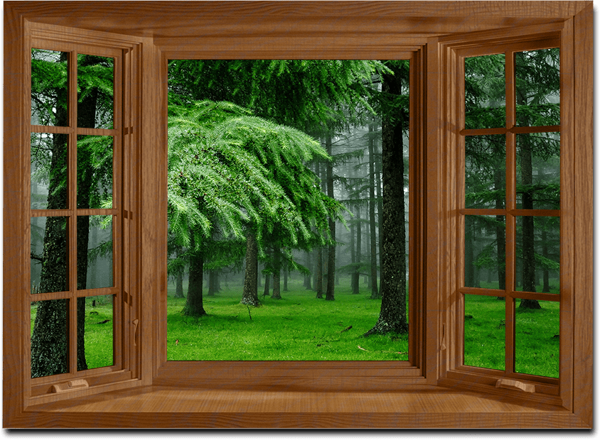 Wood window. Деревянные окна. Красивые деревянные окна. Окно дерево. Рама окна.