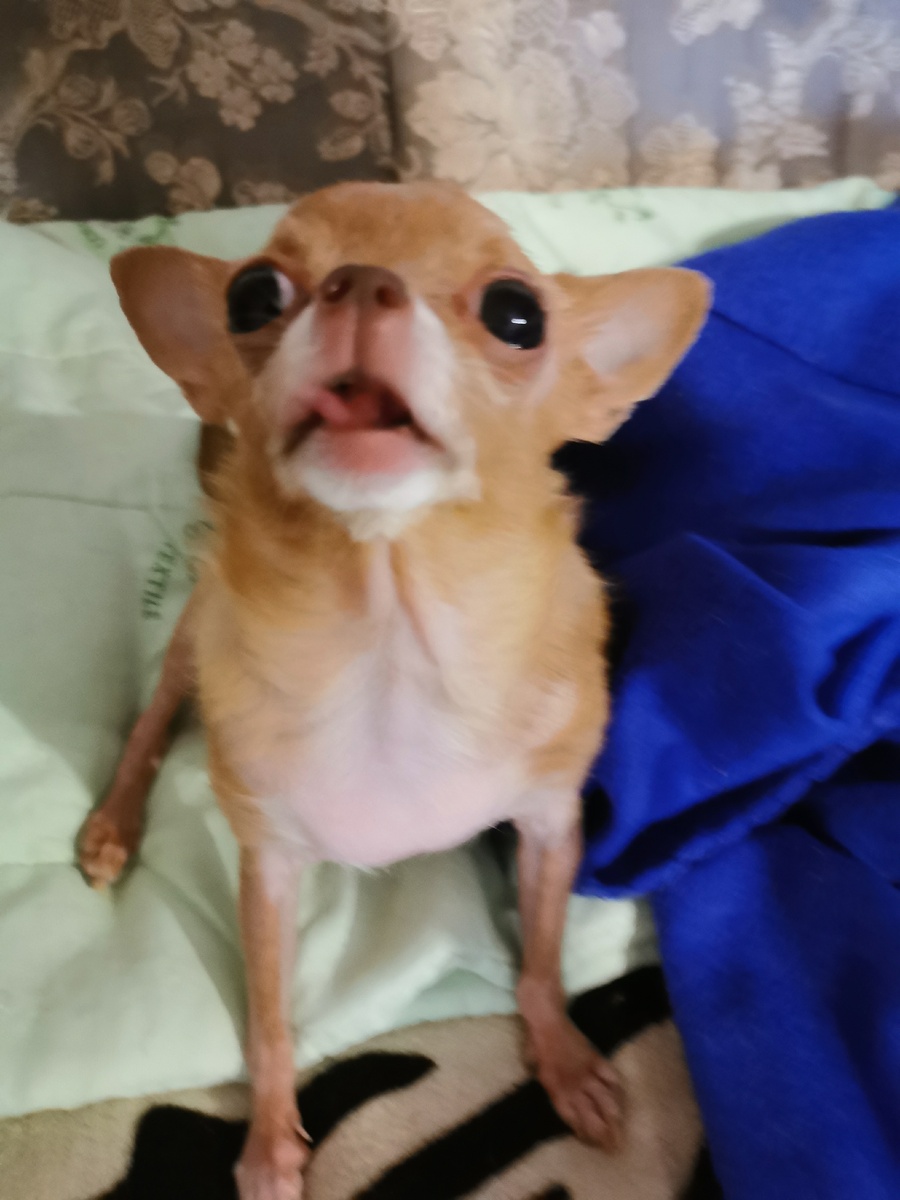 Моя жизнь....