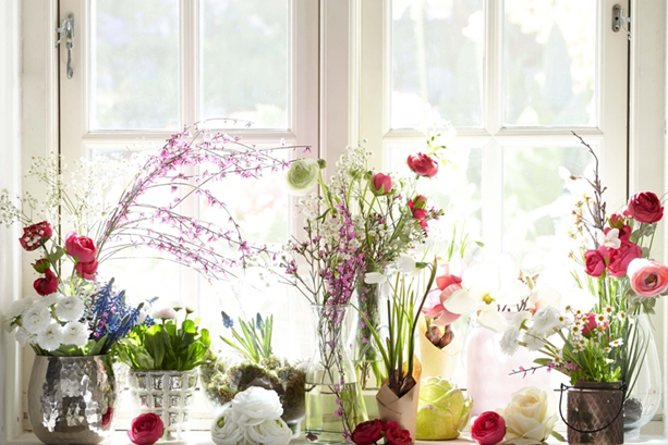 Interior Florals: Our Contemporary Design Fixation Window box flowers, Indoor wi
