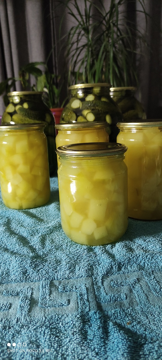 Кабачки как ананасы