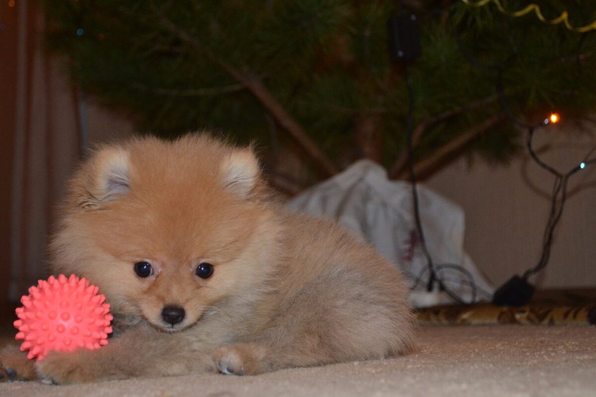 Фото из первого путешествия