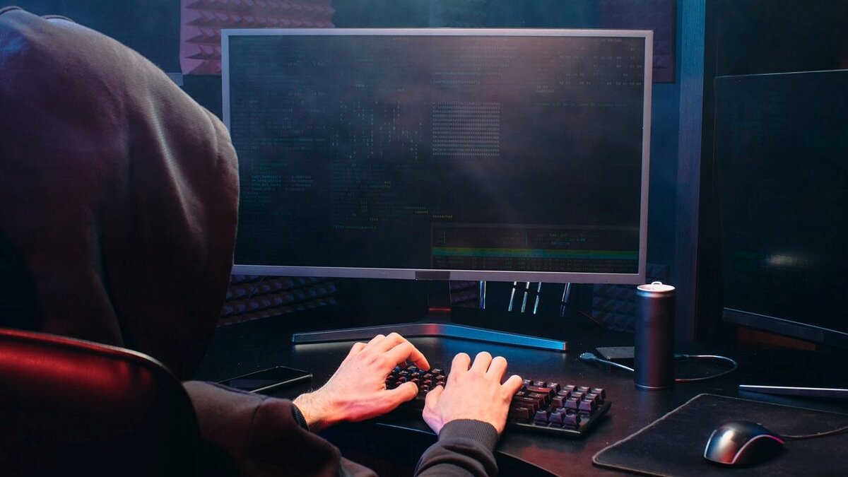 Взято на https://www.pexels.com/ru-ru/