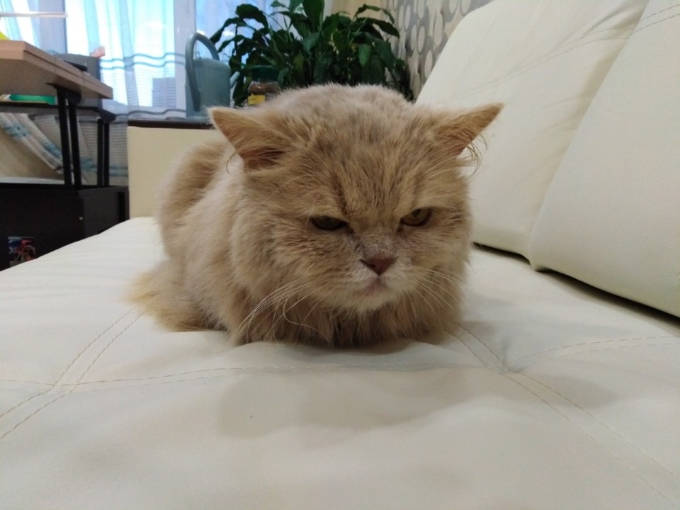На передержке