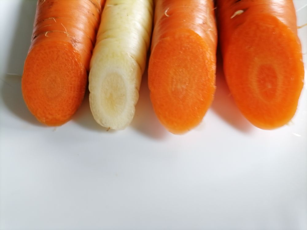 Какая морковь сладкая. Сладкая морковь. Сладкие сорта моркови. Самая сладкая морковь сорт семена. Морковь Нантская Семко.