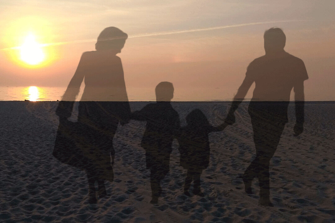 Коллаж из фото с открытых ресурсов интернета.